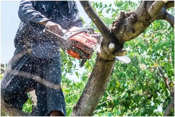 tree services Plantersville